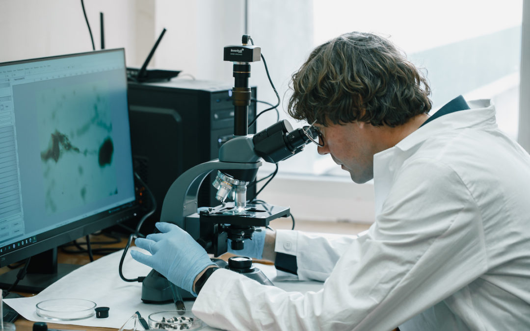 Scientist examines mold through an electron microscope